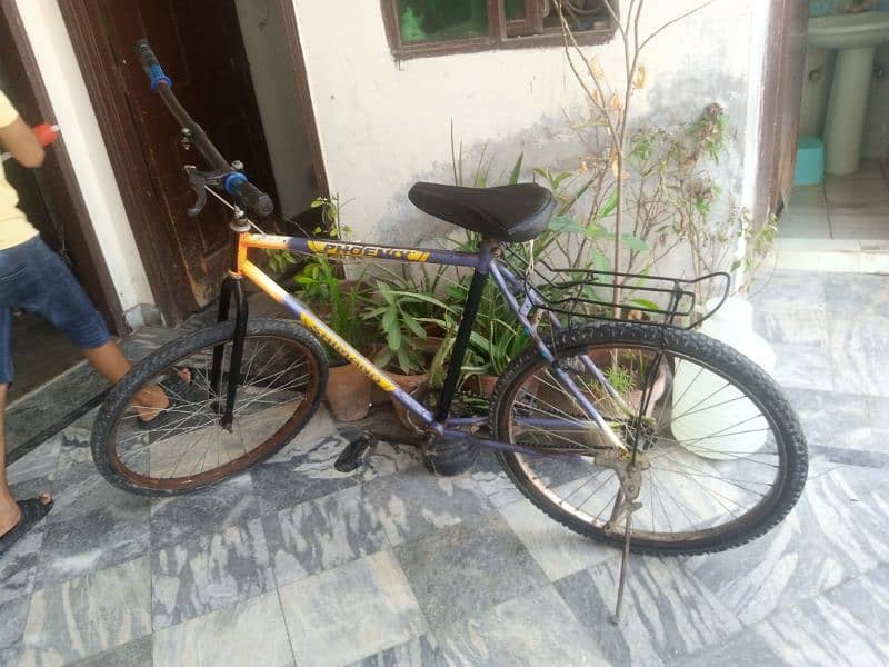 Phoenix bicycle good condition 1