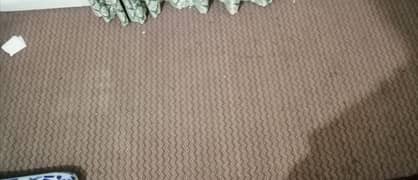 Carpet 0