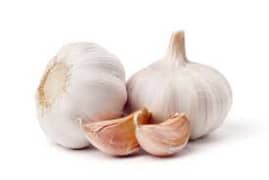 G1 Garlic