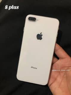 8 plus non pta