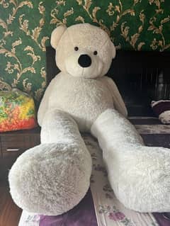 8 Feet tall teddy bear