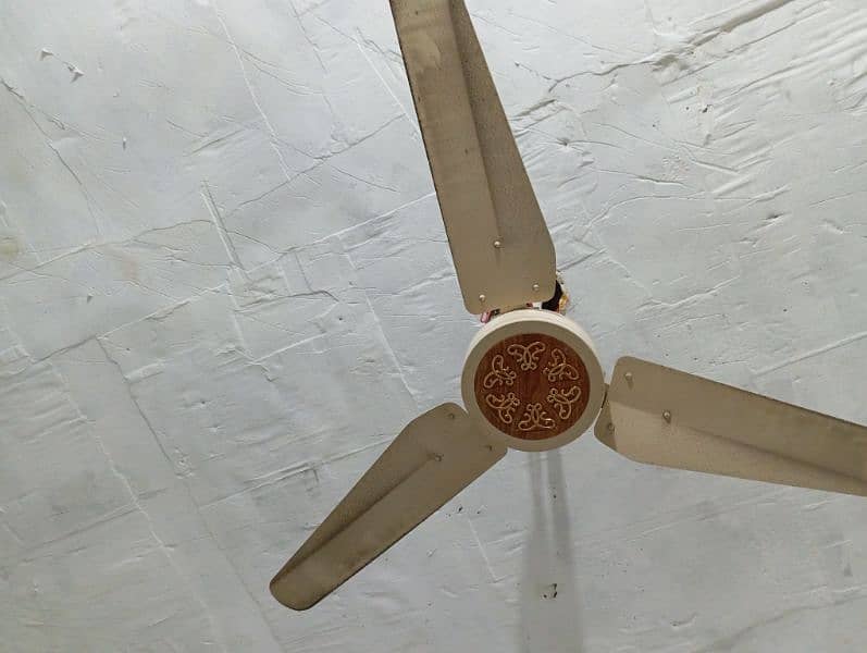 Ceiling Fans 4