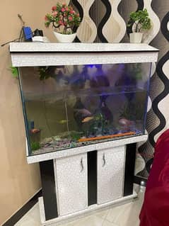 aquarium for sale with all fish and all things