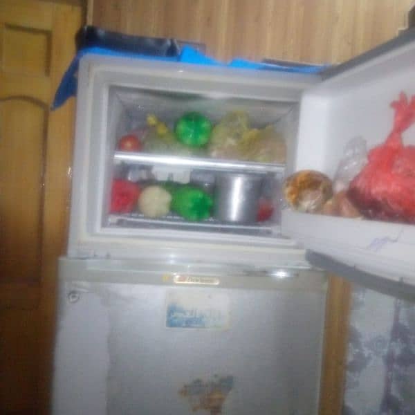 Dawlence Fridge's 1