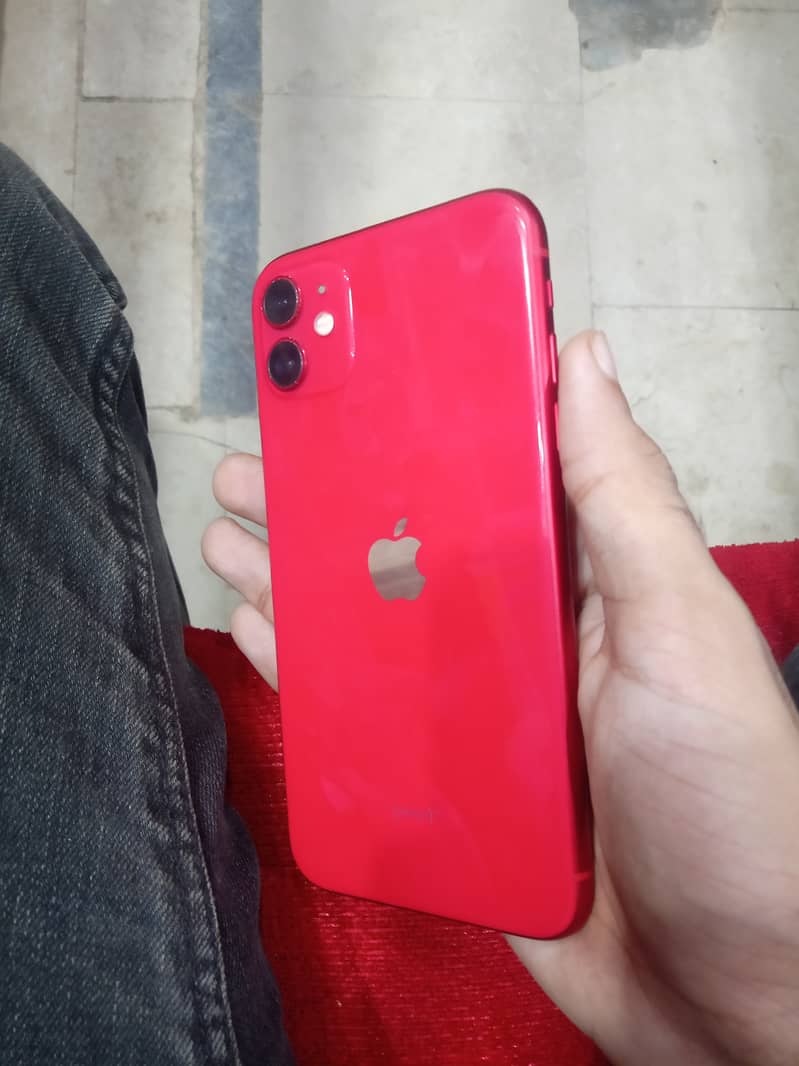 iPhone 11 0