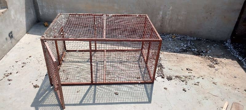 cage for sall 3