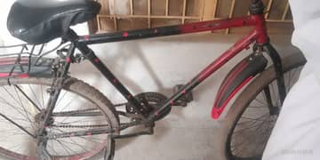 Bicycle for sale