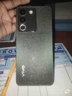 vivo