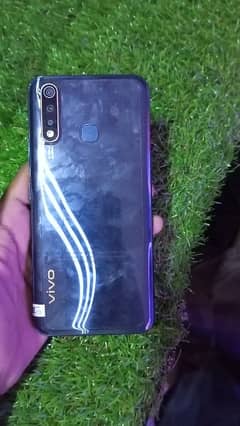 Vivo