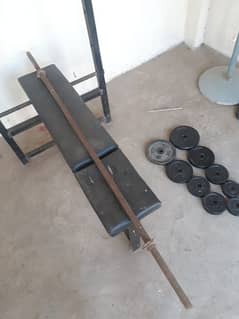 Gym Equipment for Home Gym