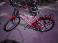 reasonable price brand new cycle  2 days used