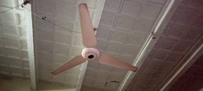 Fan For Sale Urgently.