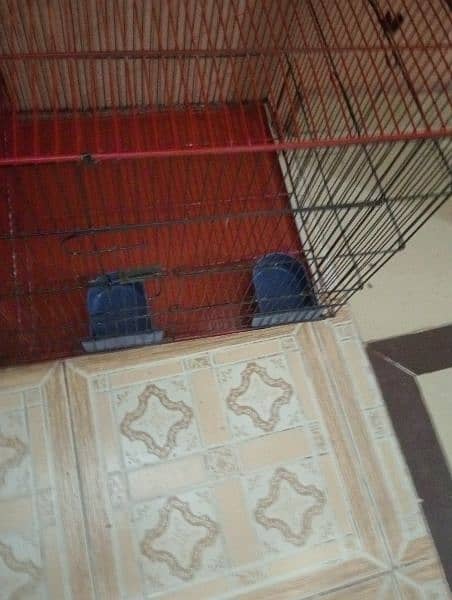 2  portion cage for sel 1