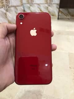 iPhone XR GB 64 Face ID ok true tron ok non pta hai 0