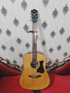 ibanez V50NJP acoustic guitar 8.5/10