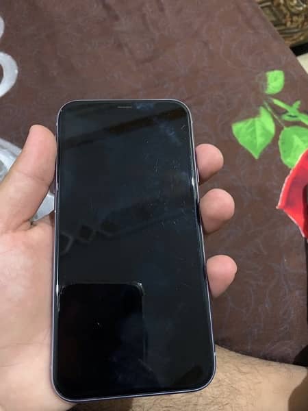 iphone 11 pta 3