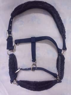 Horse Riding Halter. (Preloved)