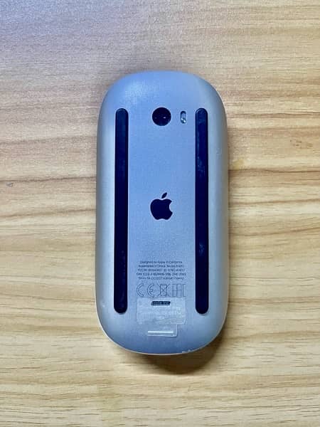 Apple Magic Mouse 2 0