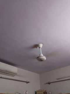 celling fans