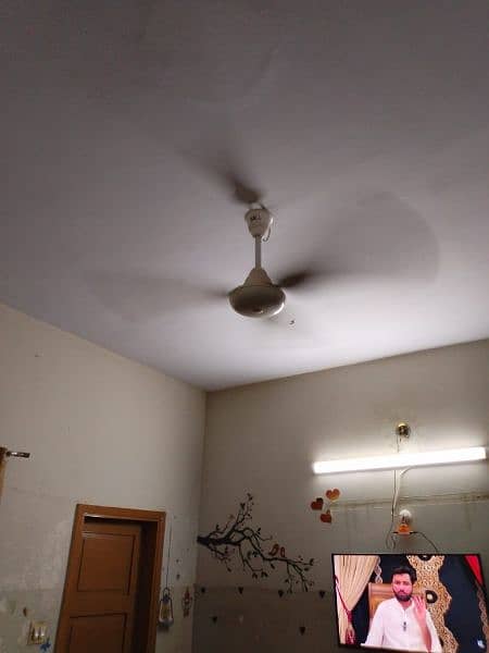 celling fans 1