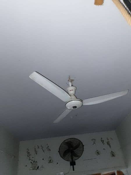 celling fans 2