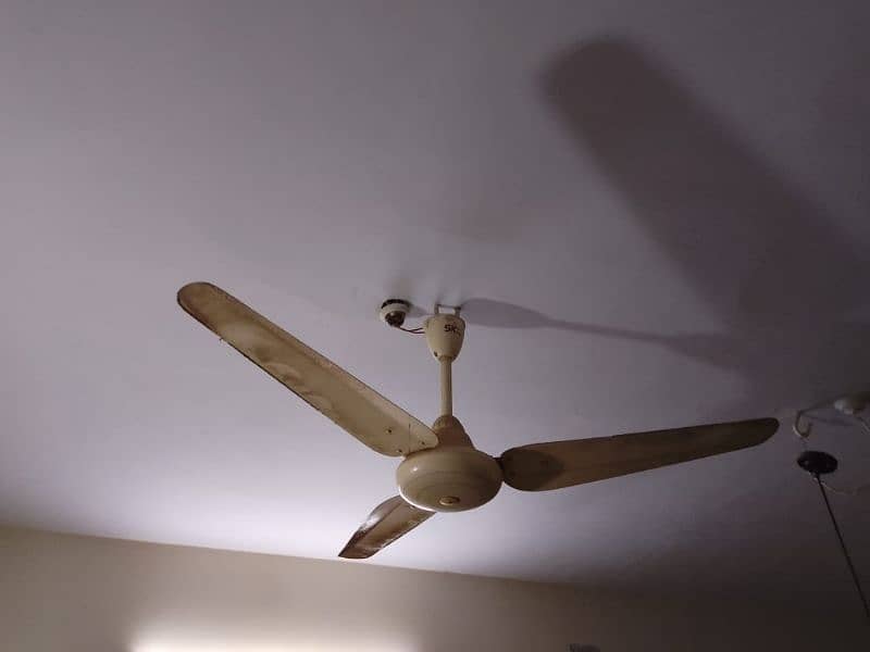 celling fans 3