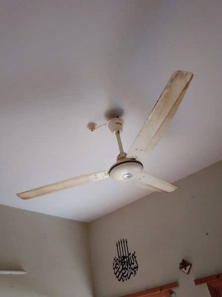 celling fans 5