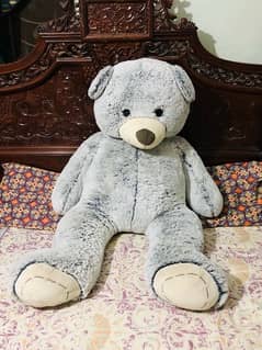 Teddy Bear Imported