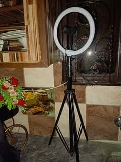 ring light with mobile stand