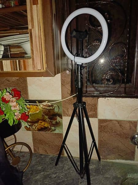 ring light with mobile stand 0