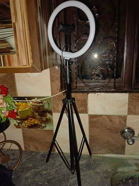 ring light with mobile stand 1