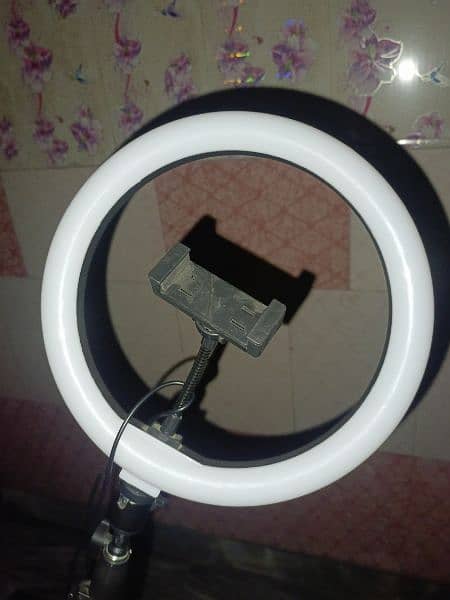 ring light with mobile stand 4