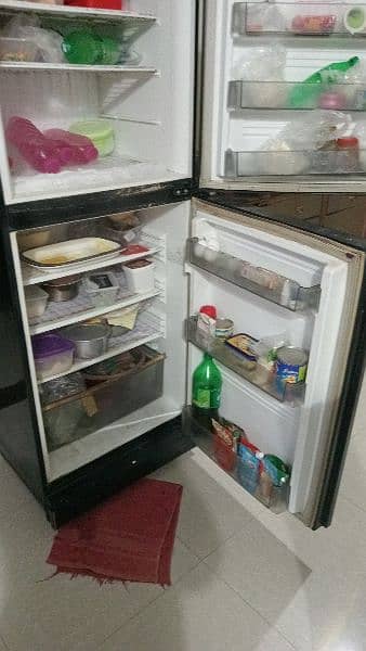 Fridge 1