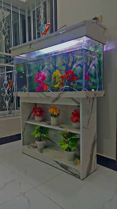 Fish Aquarium With a Fishes