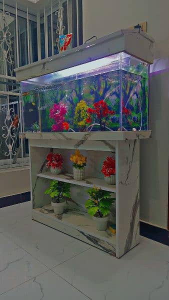 Fish Aquarium With a Fishes 0