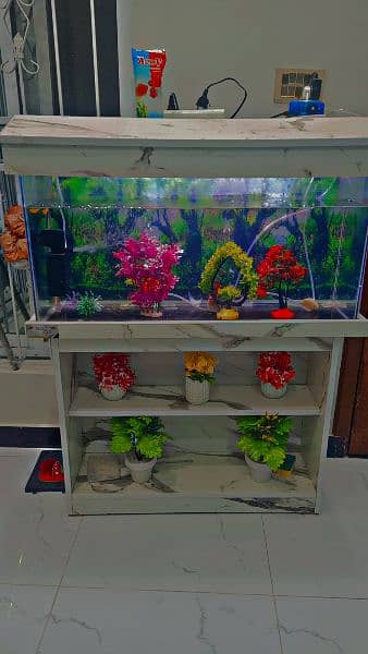 Fish Aquarium With a Fishes 2