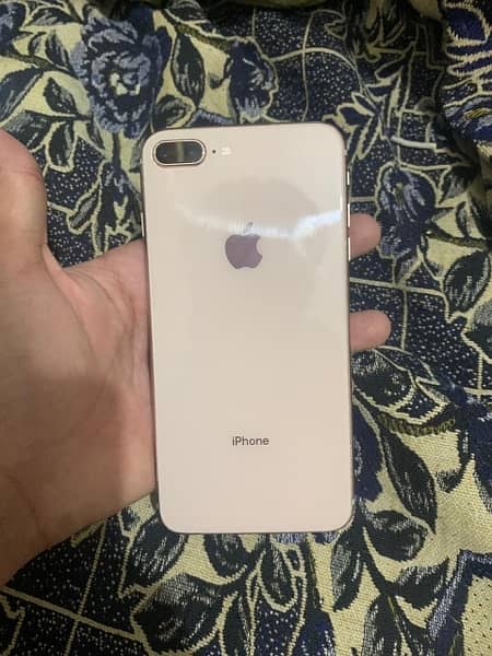 8plus pta approved 6