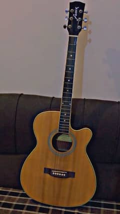 Fenix Branded Acoustic Guitar Professional for Sale