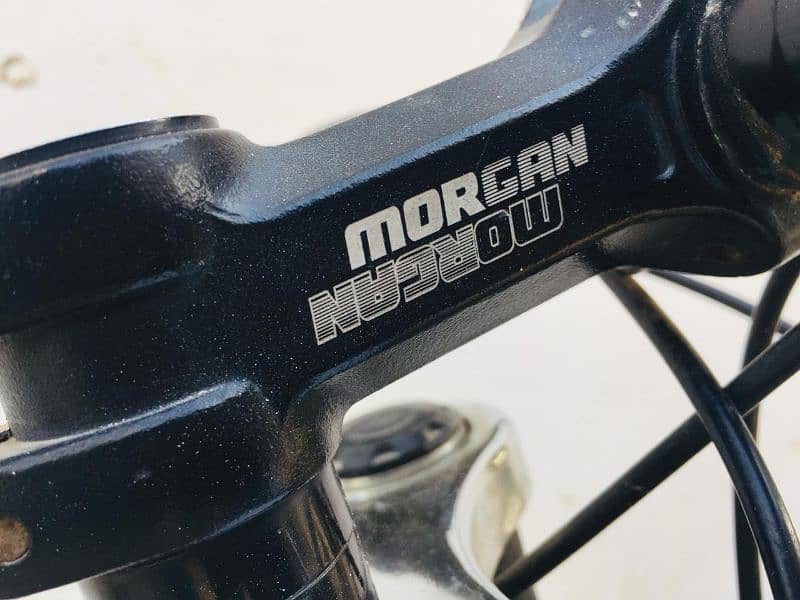 original Morgan mountain bike 1