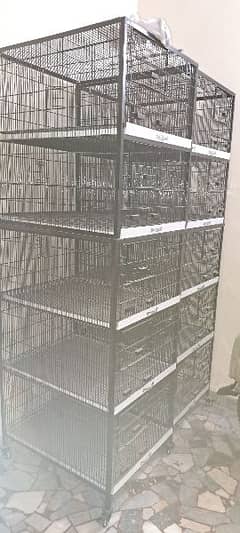 Cage For Birds 0