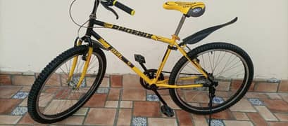 Phoenix Cycle For Sale