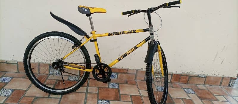 Phoenix Cycle For Sale 1