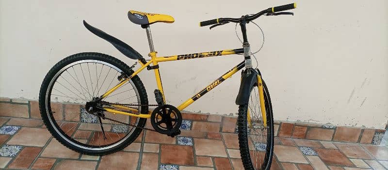 Phoenix Cycle For Sale 2