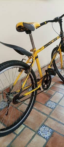 Phoenix Cycle For Sale 3