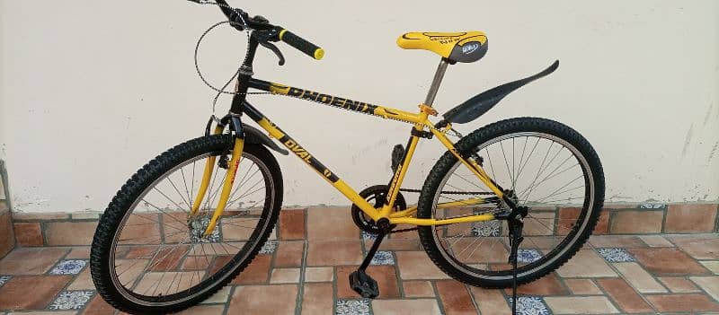 Phoenix Cycle For Sale 7