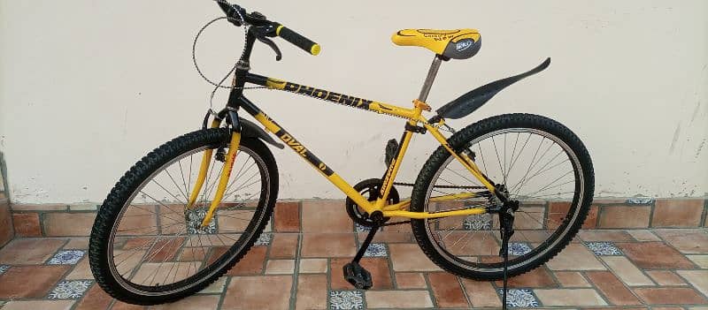 Phoenix Cycle For Sale 8