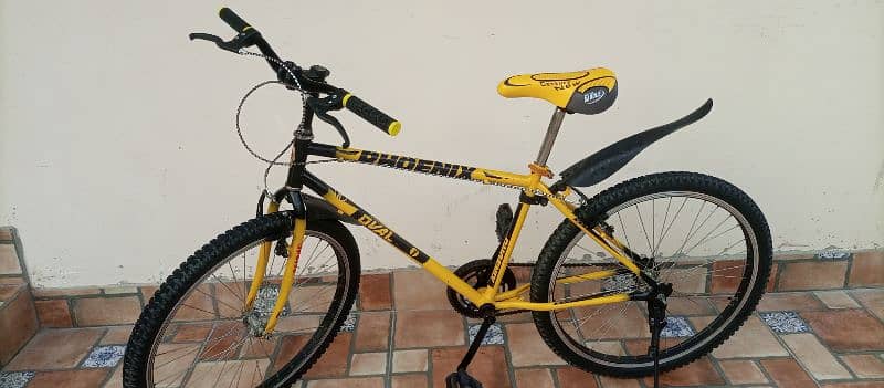 Phoenix Cycle For Sale 10