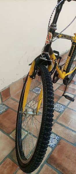 Phoenix Cycle For Sale 11