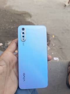 vivo