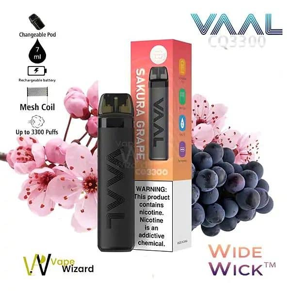 Disposable vap Vaal CQ3300 Device
Rechargeable With Two Coils 1